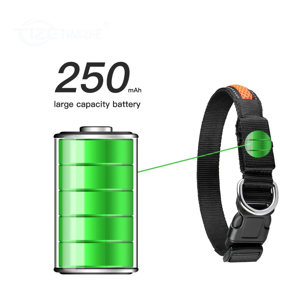 MASBRILL LED Dog Collar Luminous For Safety, Flashing Glow, Waterproof, Reflective
