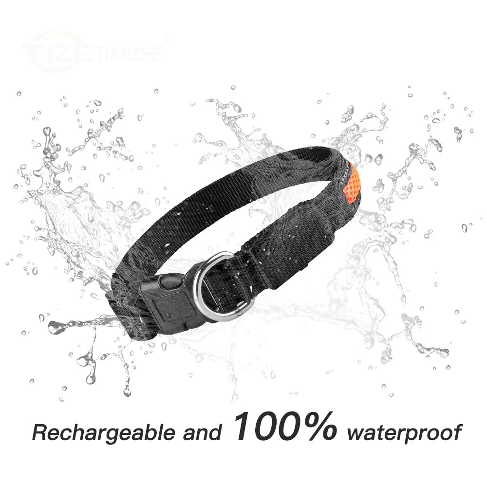 MASBRILL LED Dog Collar Luminous For Safety, Flashing Glow, Waterproof, Reflective