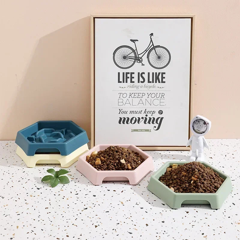 Anti Choke Slow Feed Bowl Small and Medium-sized Dogs