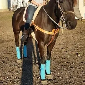 Bareback Riding Pad With Stirrups