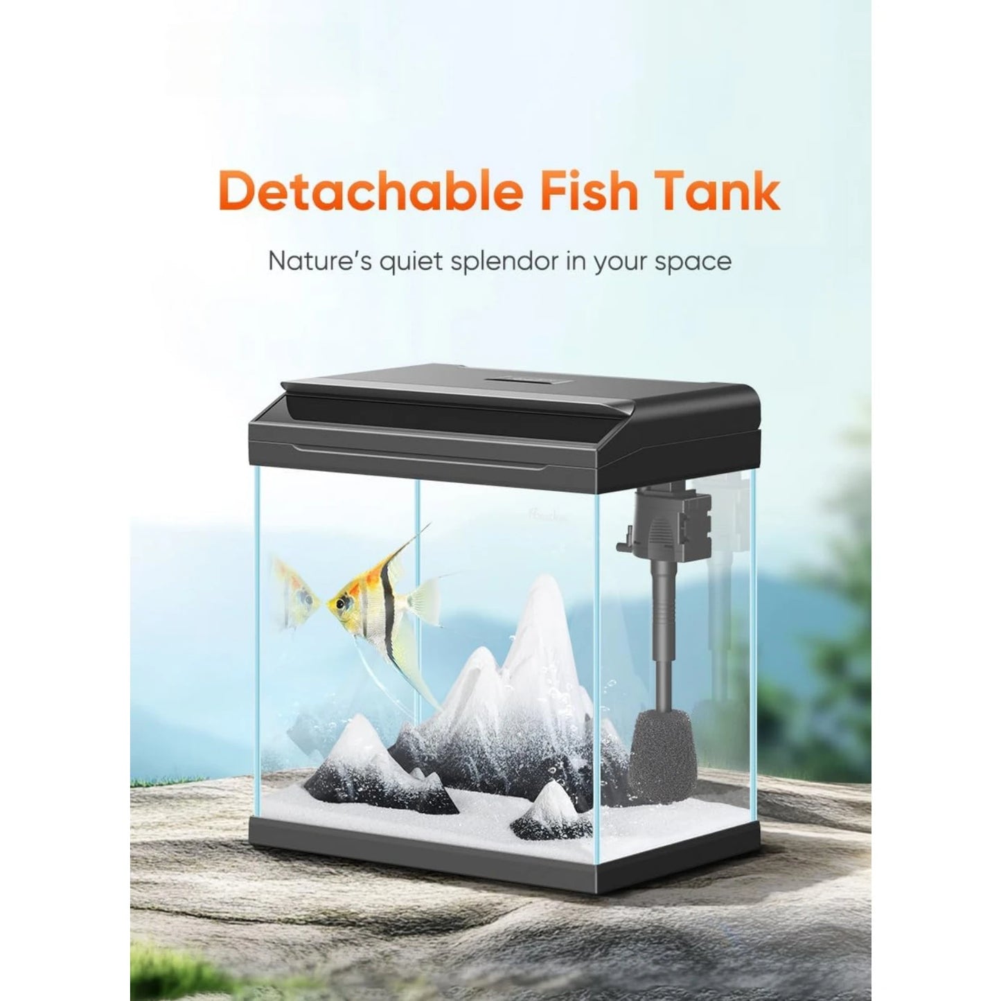 4 Gallon Fish Tank with Detachable Lid, Starter Kit with LED Light,