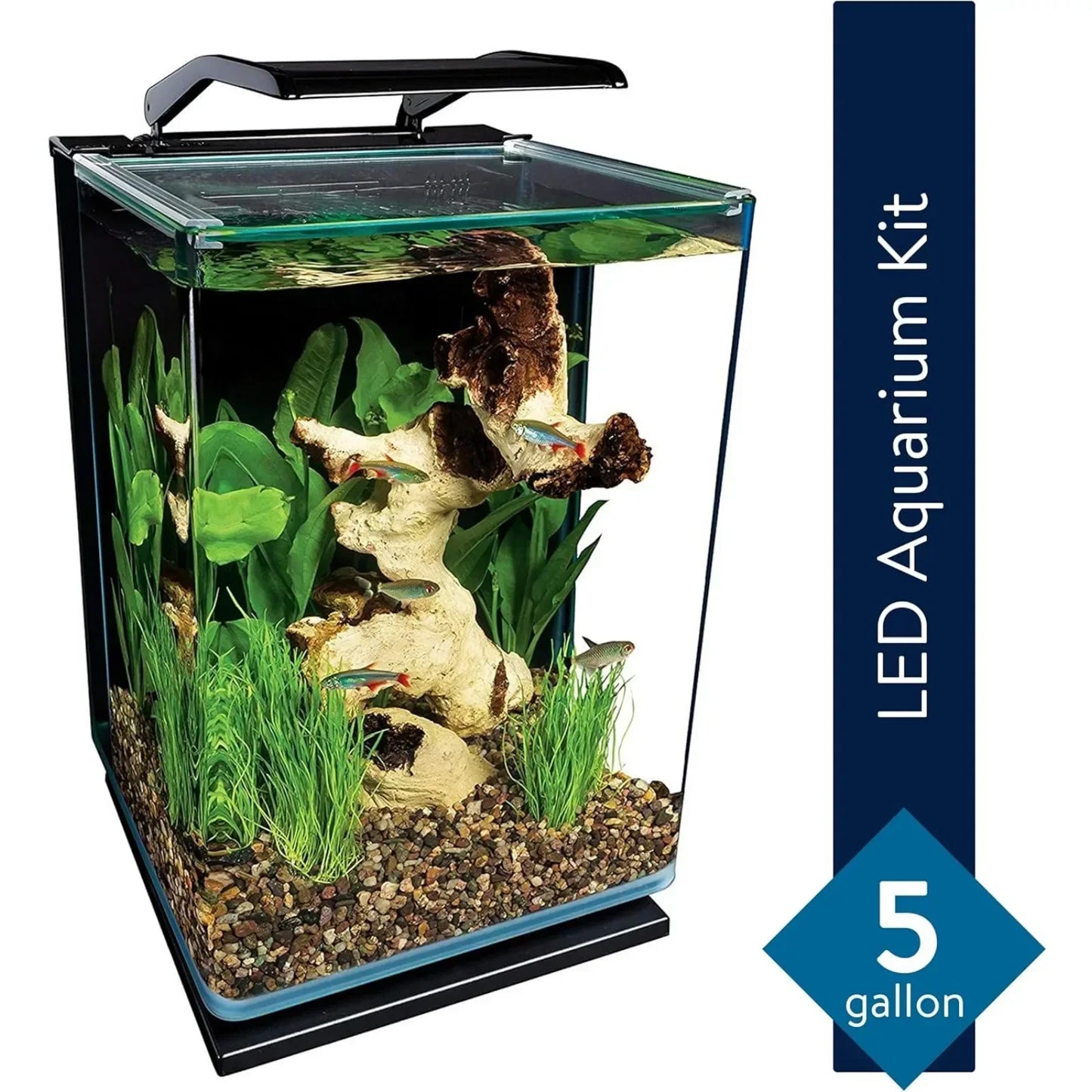Glass LED Aquarium Kit, 5 Gallons, Hidden Filtration, Small Fish Tank Starter Kit