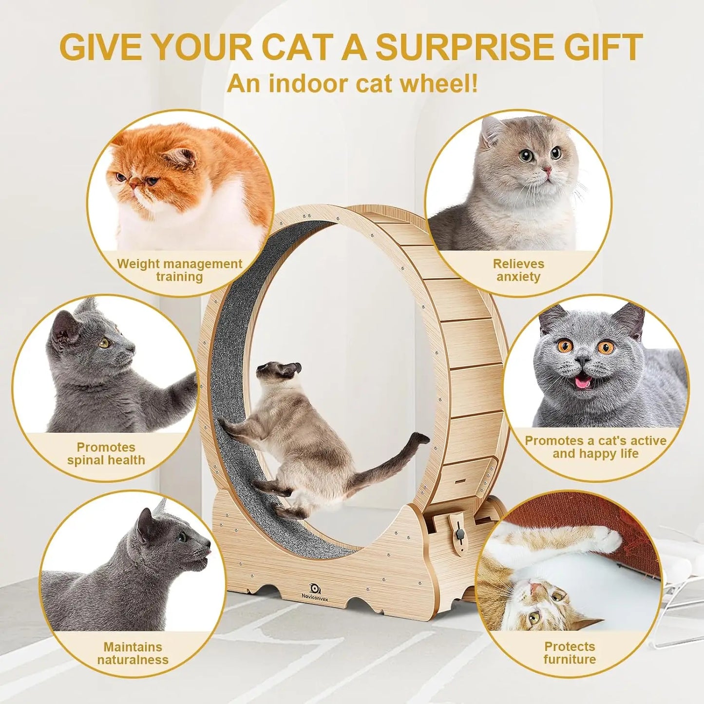 Cat Exercise Wheel with Carpeted Runway,