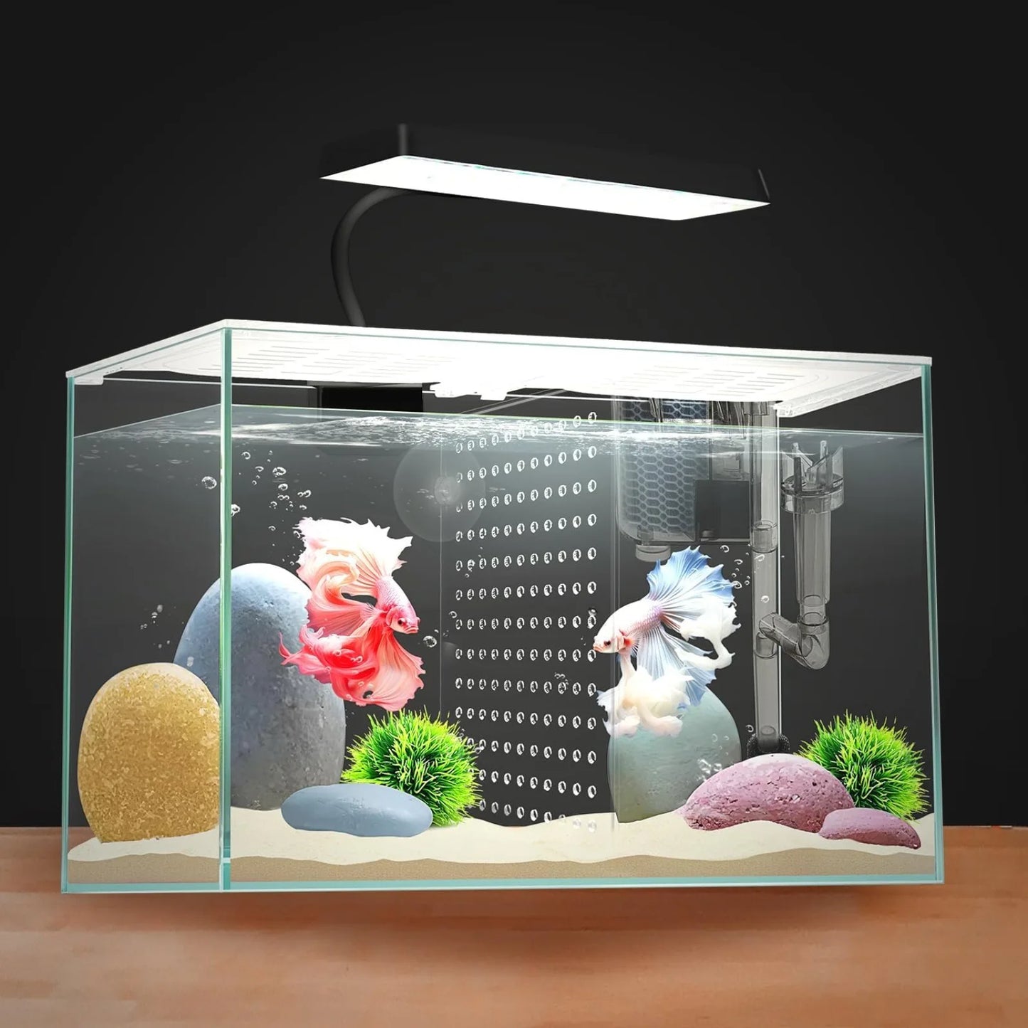 3 Gallon 12.6L Fish Nano Glass Aquarium, With Separator Plate ,LED Light