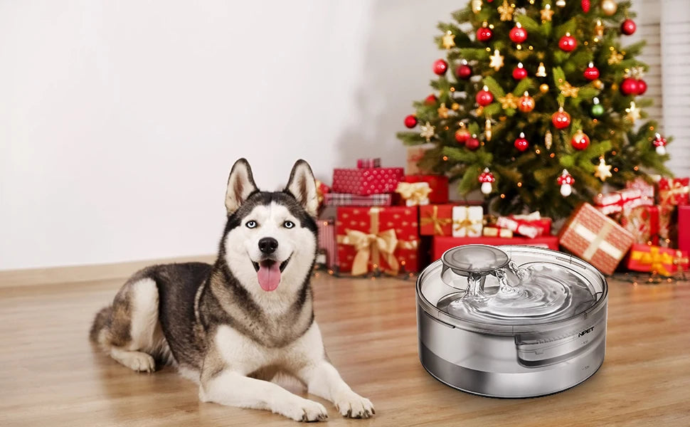 Large Automatic Dog Water Fountain,