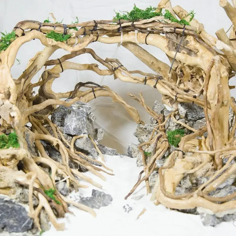 1 Pcs Wood Natural Driftwood Tree For Fish Tank