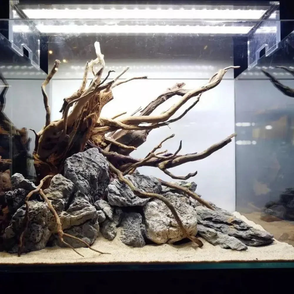 1 Pcs Wood Natural Driftwood Tree For Fish Tank
