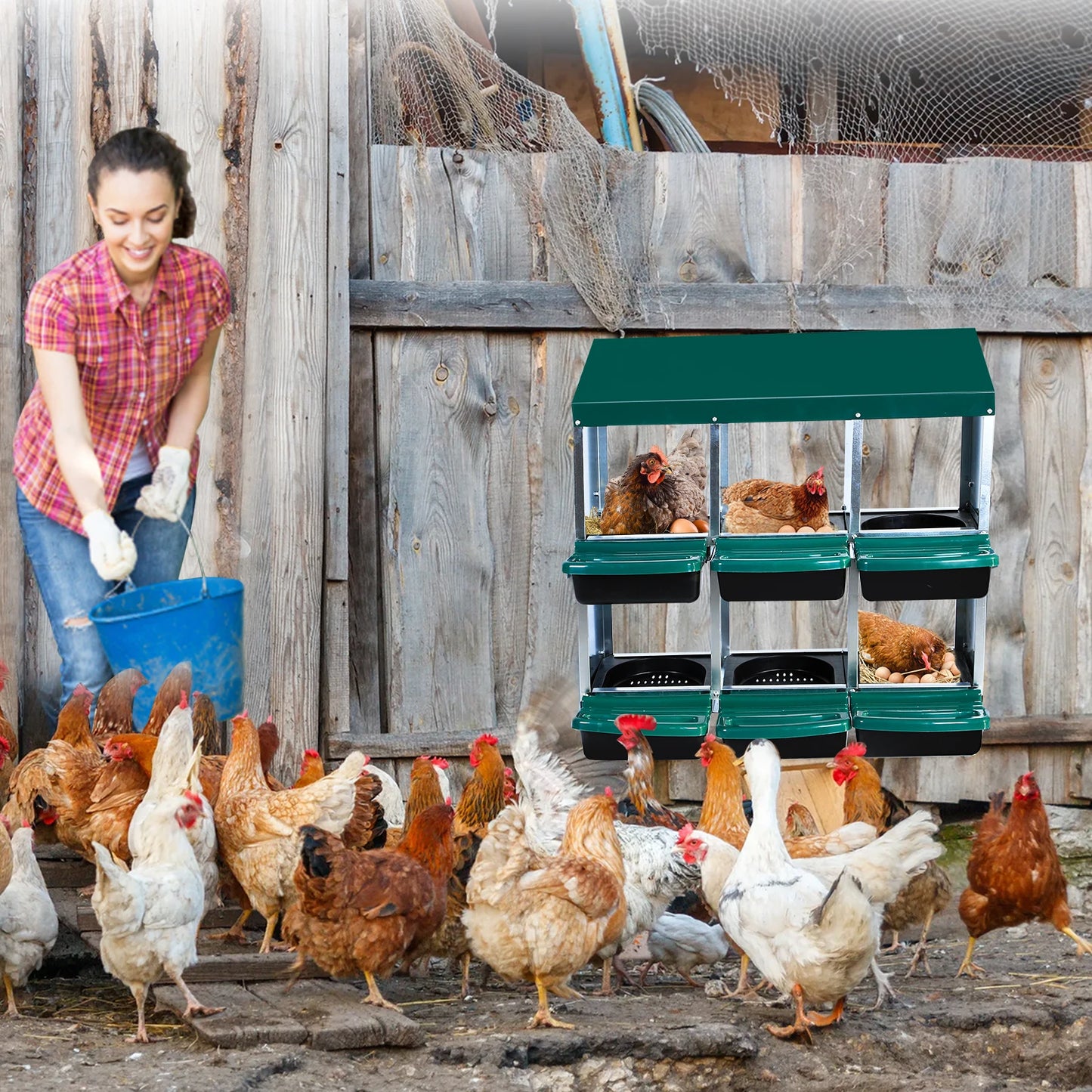 Layer Hen Nesting Boxes, 6 Boxes, 2 Story With Roll Away Eggs