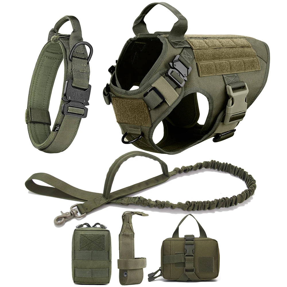 Medium To Large Dog Harness And Leash Set
