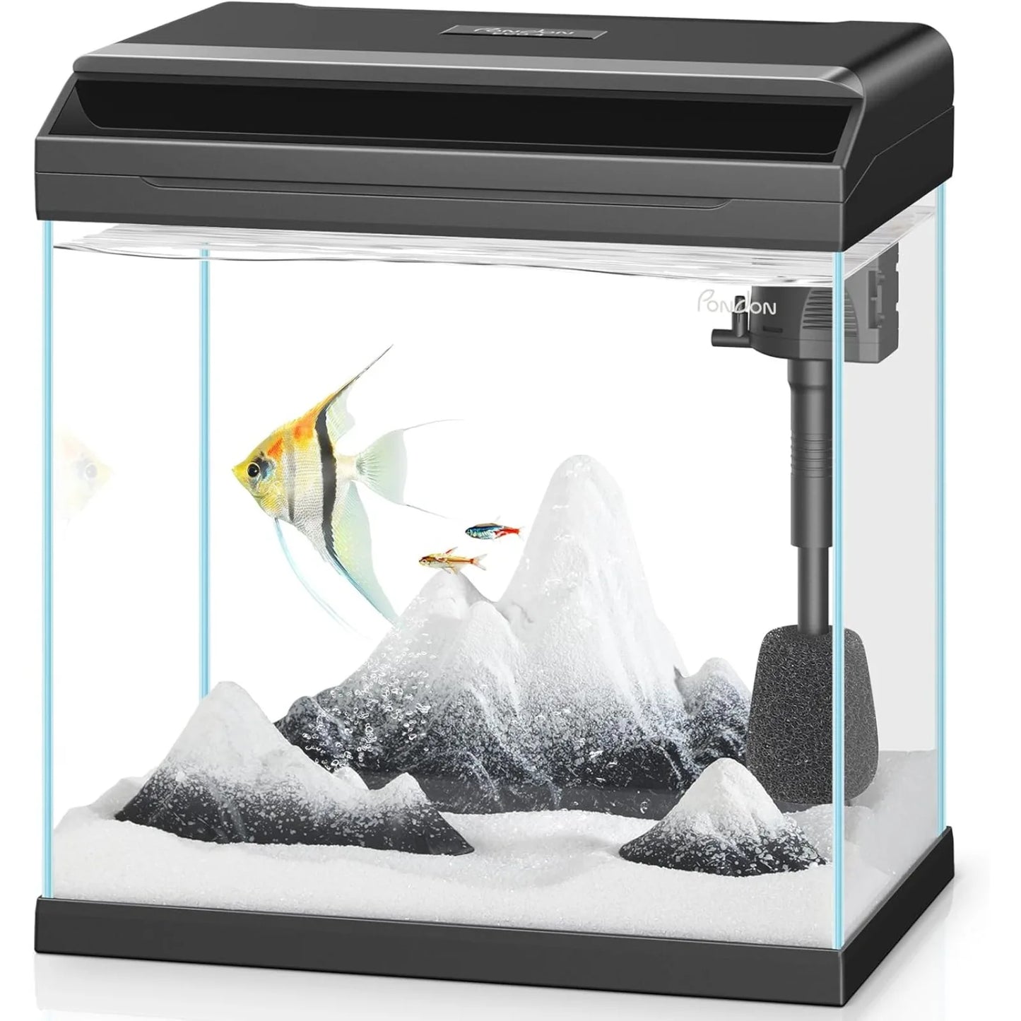 4 Gallon Fish Tank with Detachable Lid, Starter Kit with LED Light,