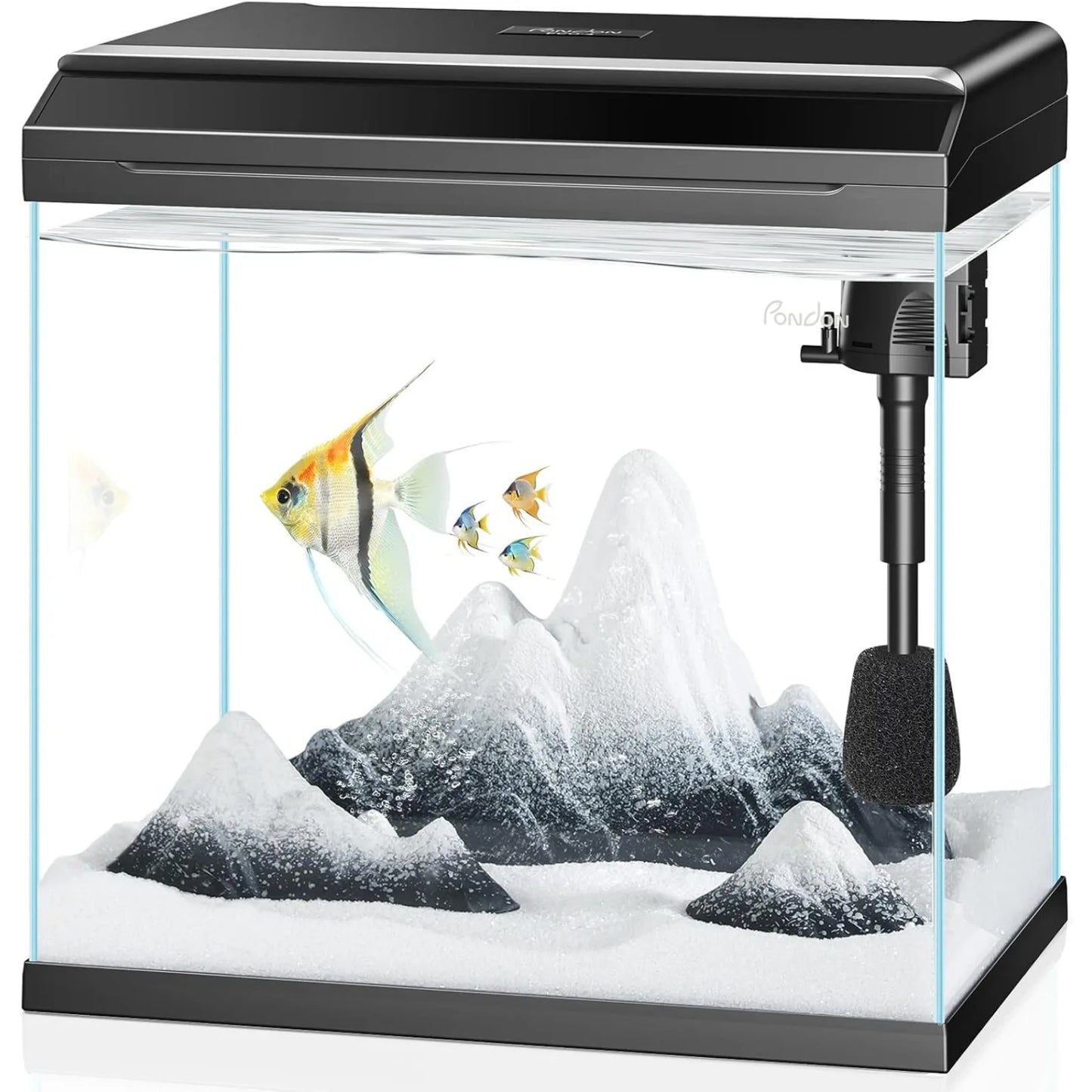 4 Gallon Fish Tank with Detachable Lid, Starter Kit with LED Light,