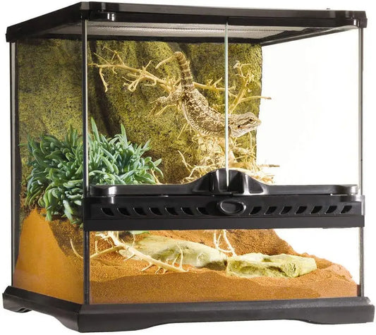 Glass Terrarium Kit for Reptiles and Amphibians 12 X 12 X 12 Inches