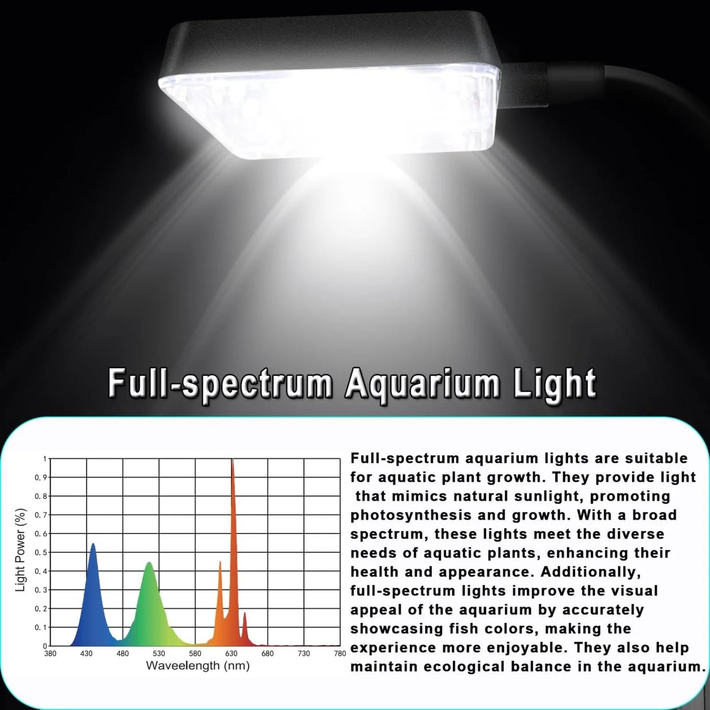 3 Gallon 12.6L Fish Nano Glass Aquarium, With Separator Plate ,LED Light