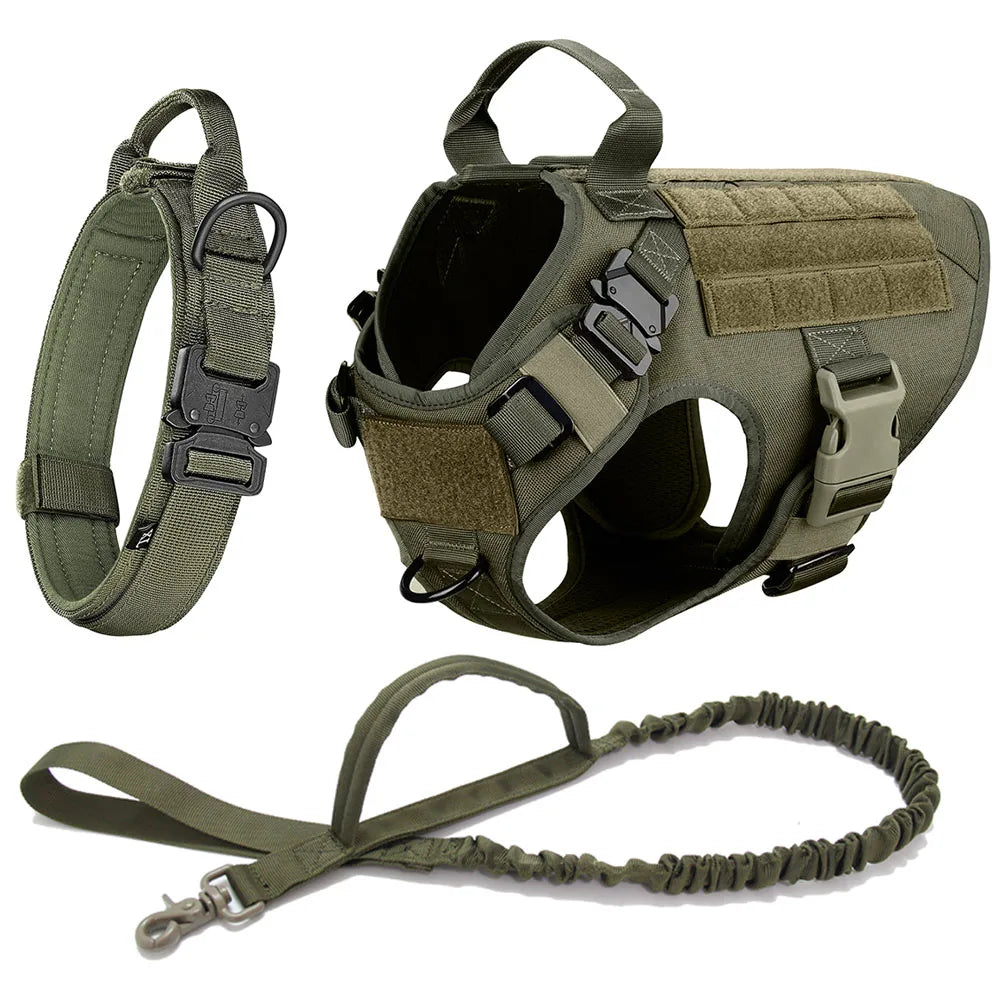 Medium To Large Dog Harness And Leash Set