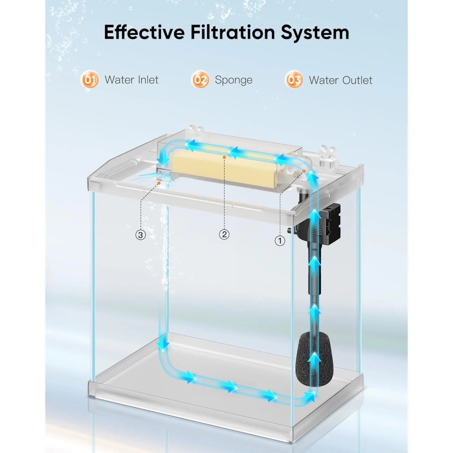 4 Gallon Fish Tank with Detachable Lid, Starter Kit with LED Light,