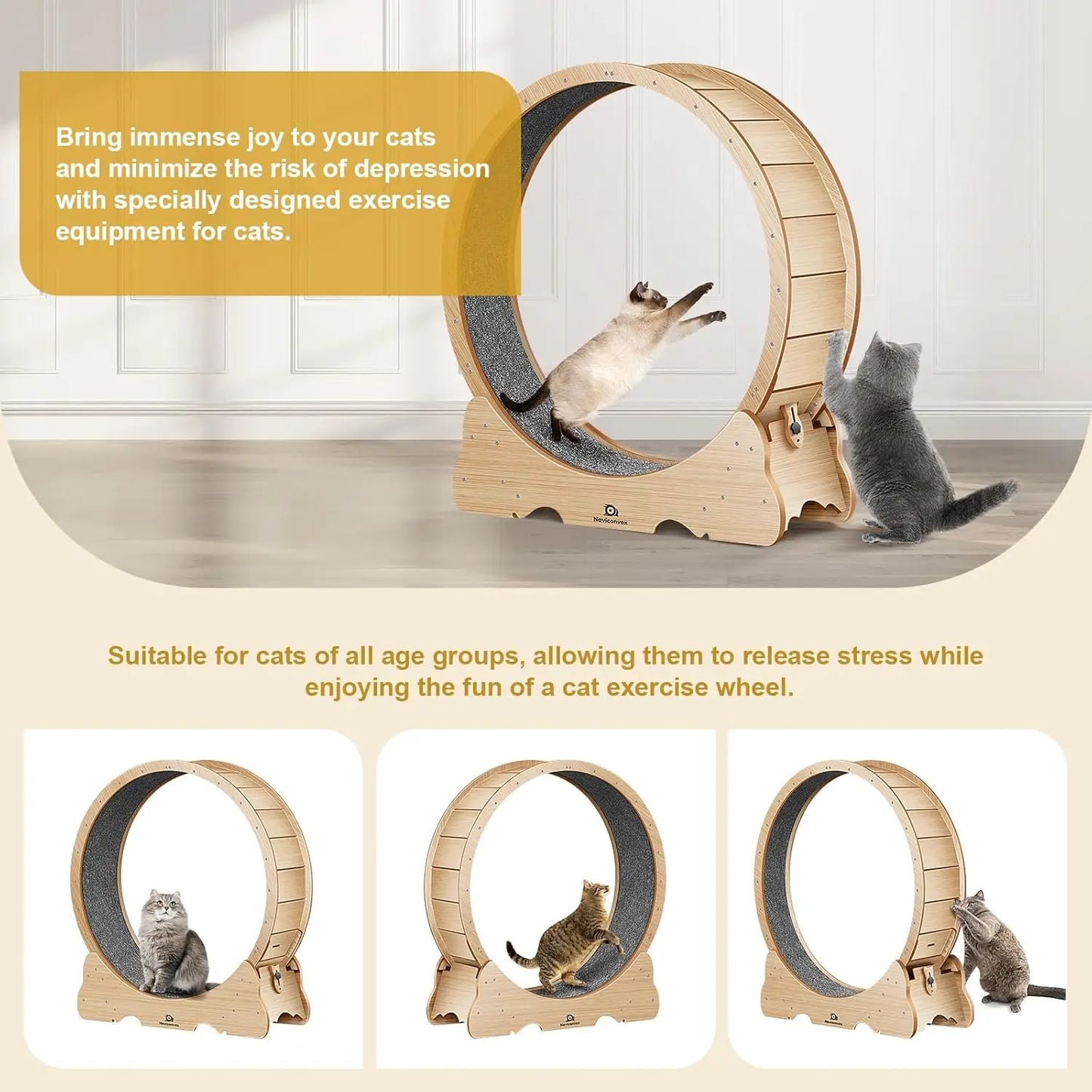 Cat Exercise Wheel with Carpeted Runway,