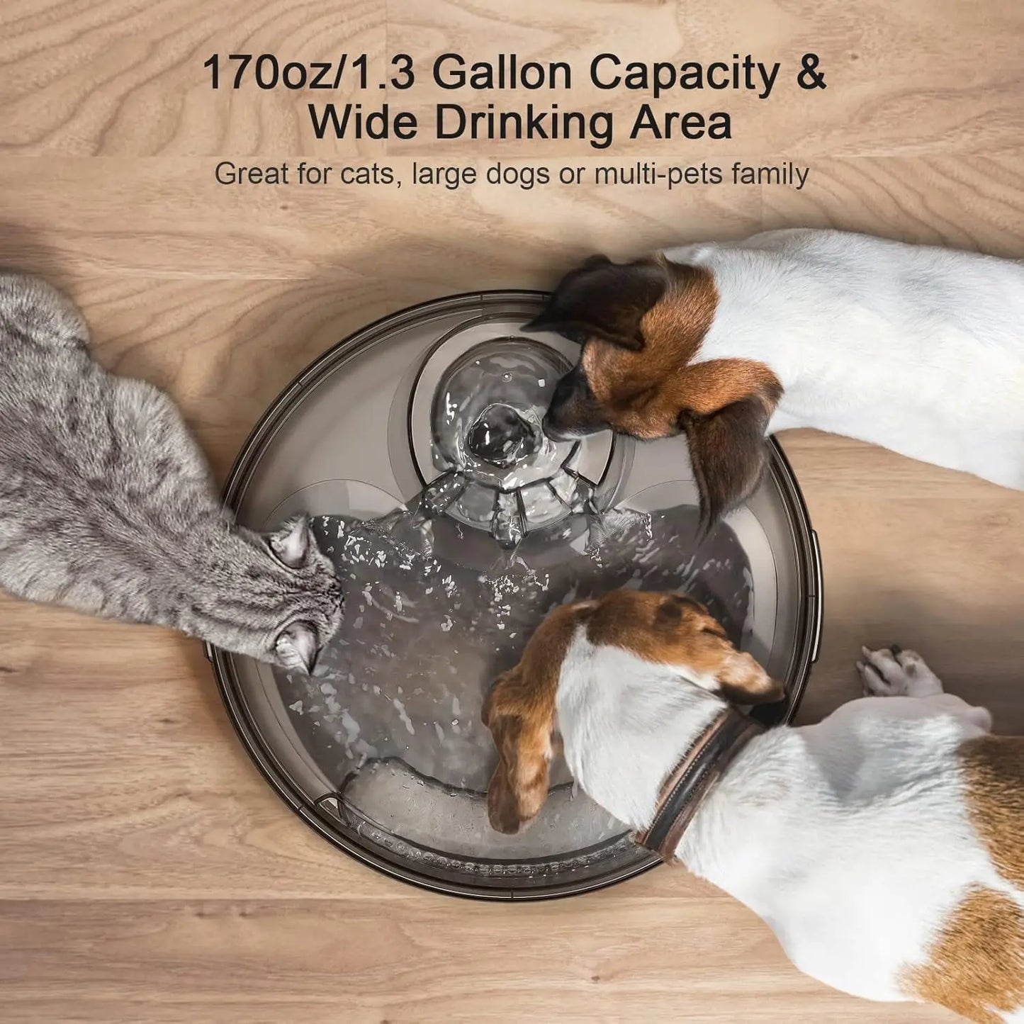 Large Automatic Dog Water Fountain,