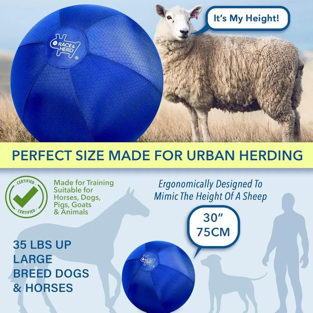 Large Heavy Duty Herding Play Ball