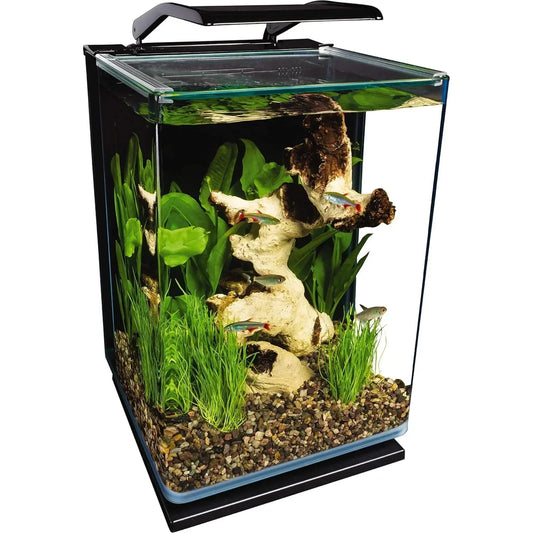 Glass LED Aquarium Kit, 5 Gallons, Hidden Filtration, Small Fish Tank Starter Kit