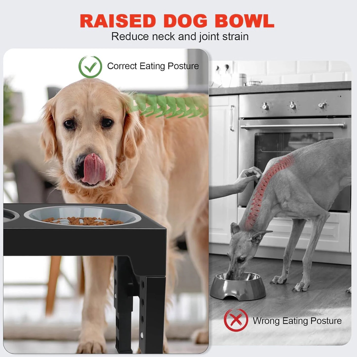 Elevated Slow Feeder Pet Bowl Holder with 5 Height Adjustments for Small, Medium and Large Dogs, Cats and Pets Water Bowls.