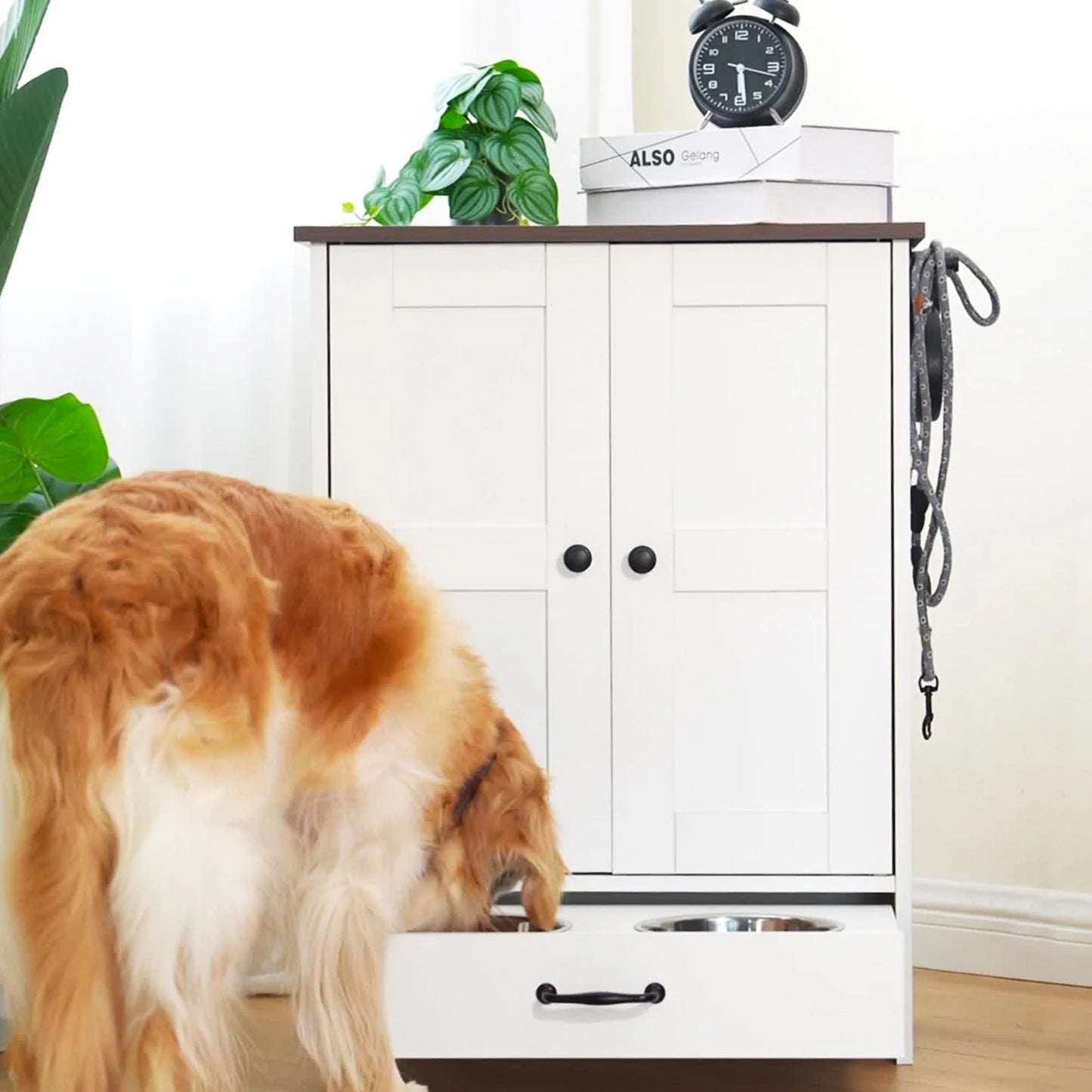 Pet Feeding and Storage Cabinet, Stainless Steel Dog Bowls for Medium Sized Dogs