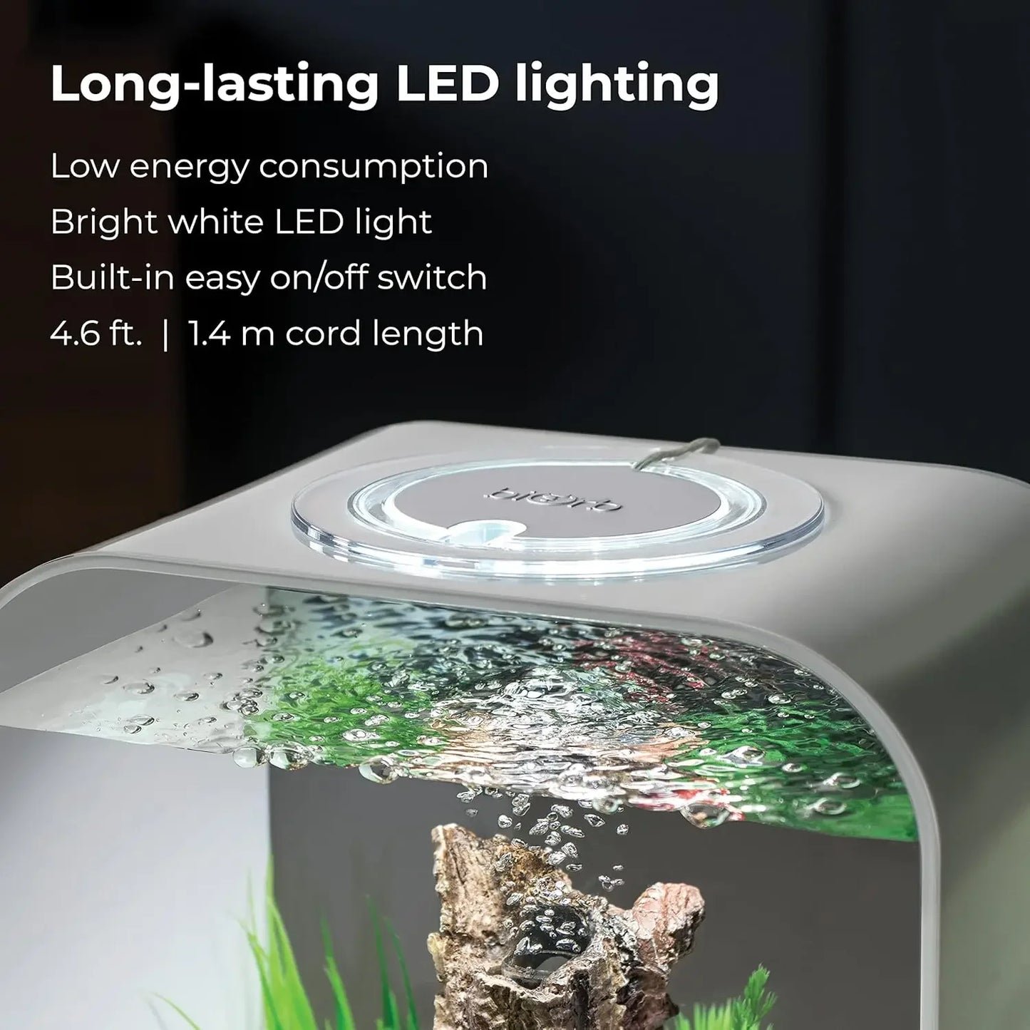 Acrylic 4-Gallon Aquarium With White LED Lights