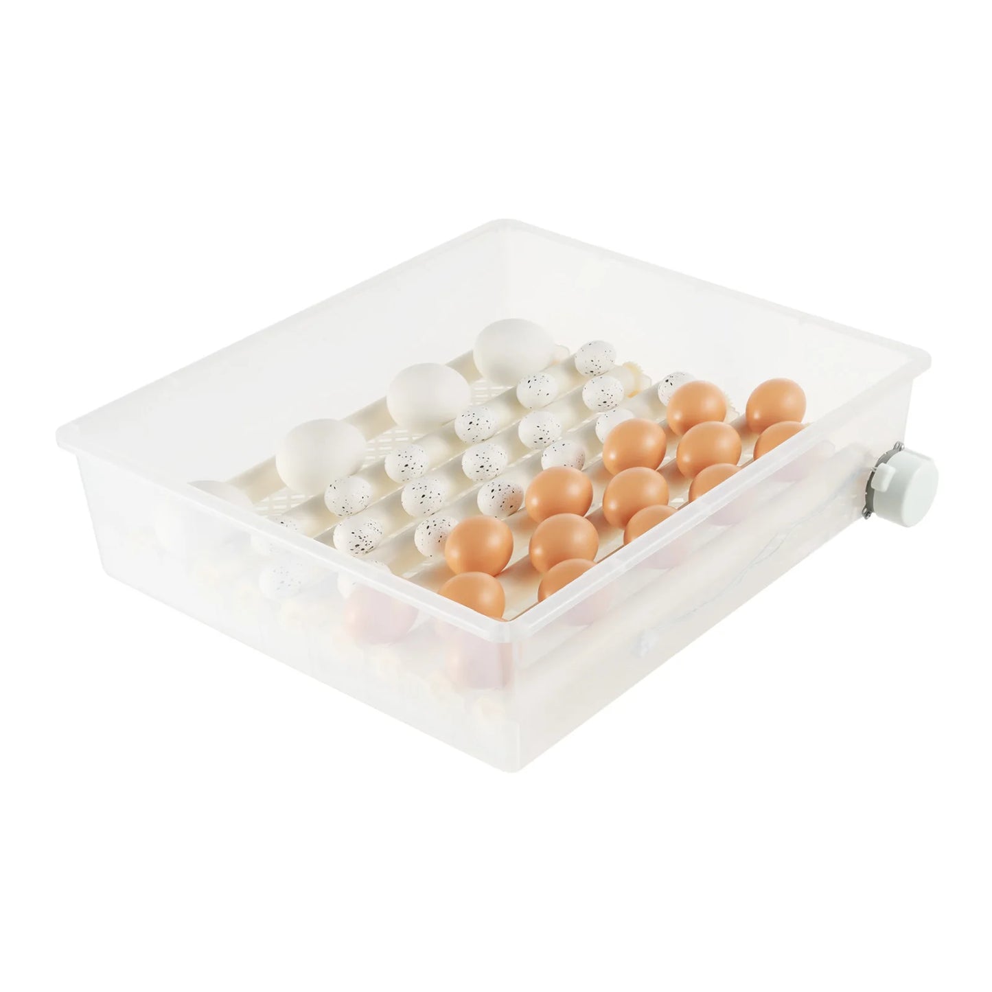 64 Eggs Capacity Automatic Turning Egg Incubator