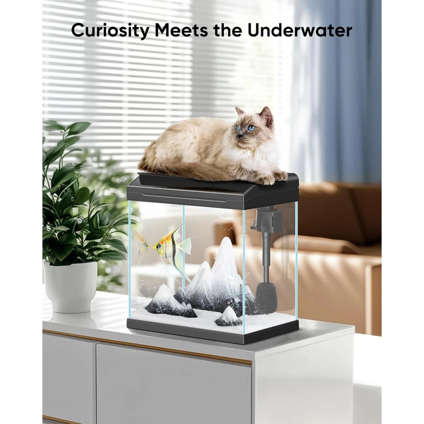 4 Gallon Fish Tank with Detachable Lid, Starter Kit with LED Light,