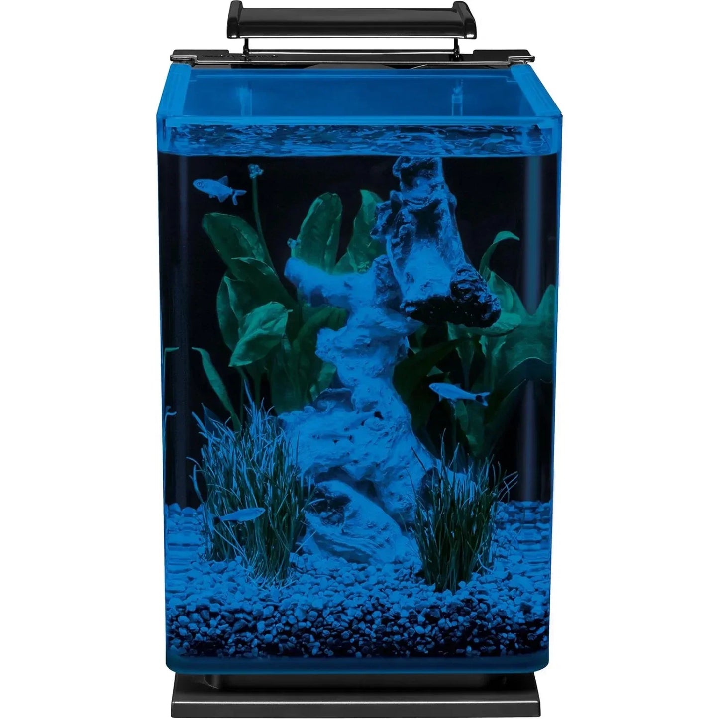 Glass LED Aquarium Kit, 5 Gallons, Hidden Filtration, Small Fish Tank Starter Kit
