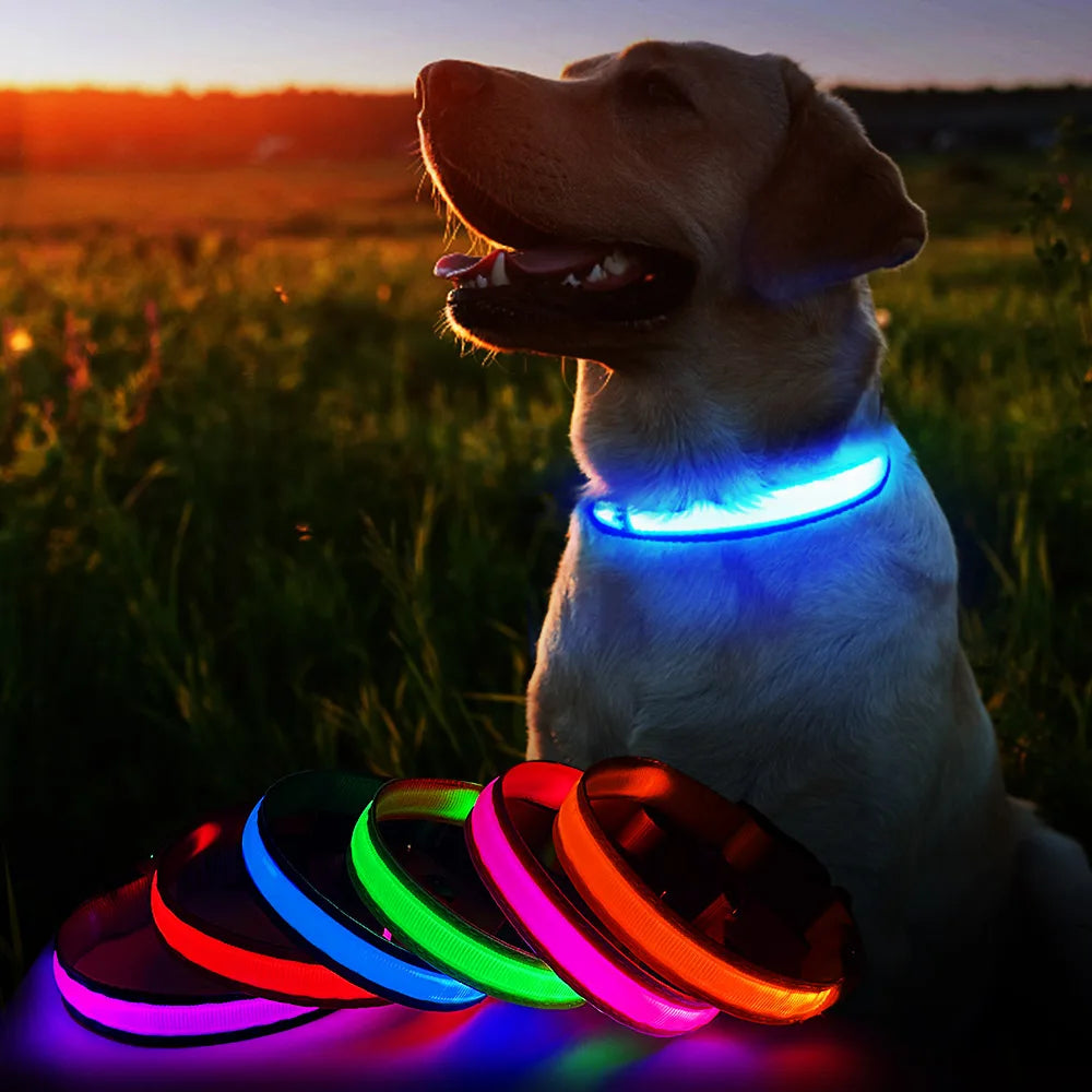 MASBRILL Luminous Dog Collar, Waterproof Safety Collars