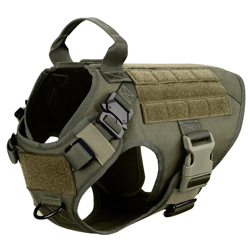 Medium To Large Dog Harness And Leash Set