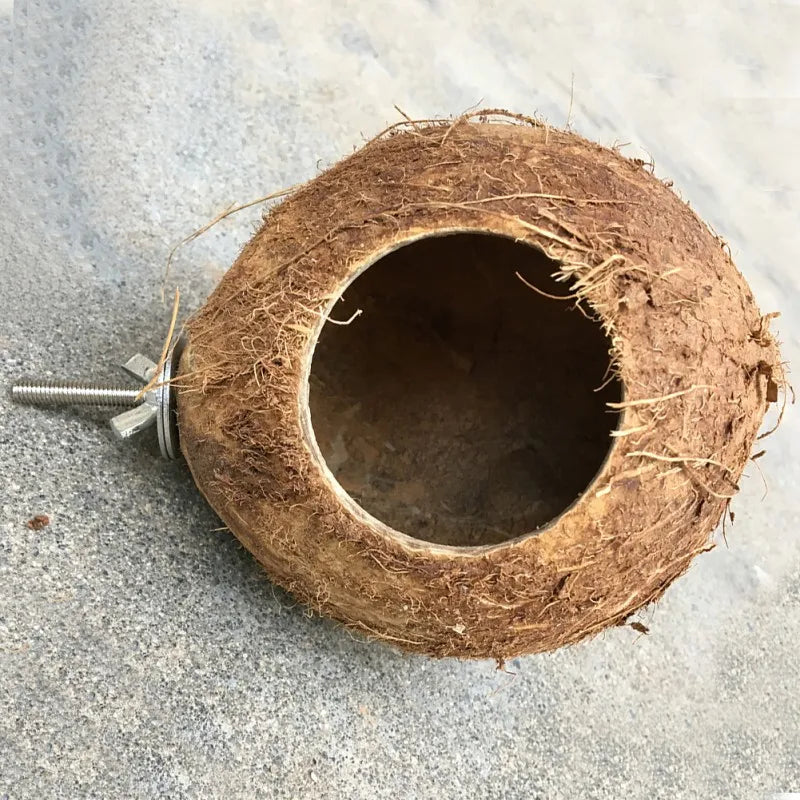 Natural Coco Hideaway Hanging Toy