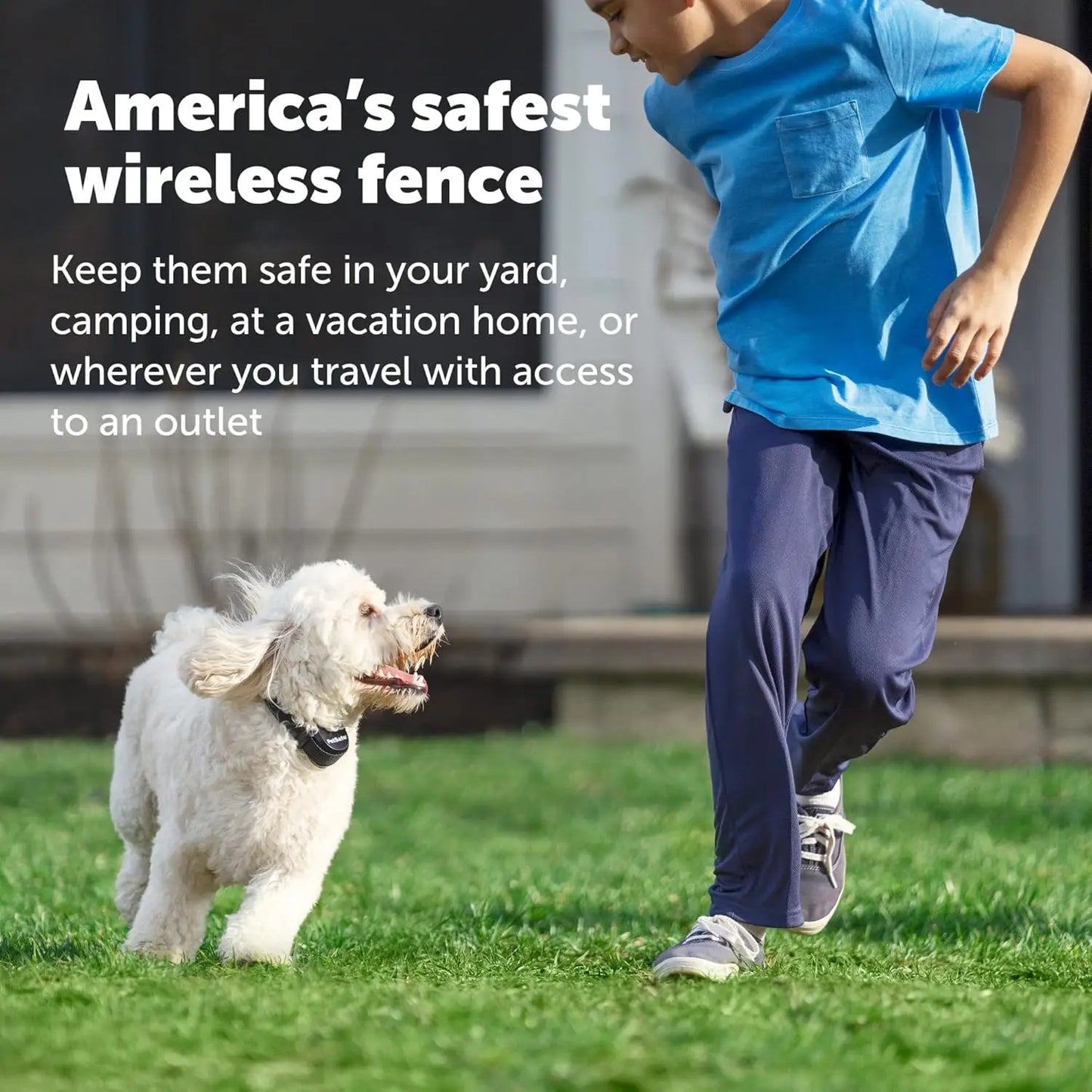 Wireless Pet Fence System With Replaceable Battery Collar, Wireless