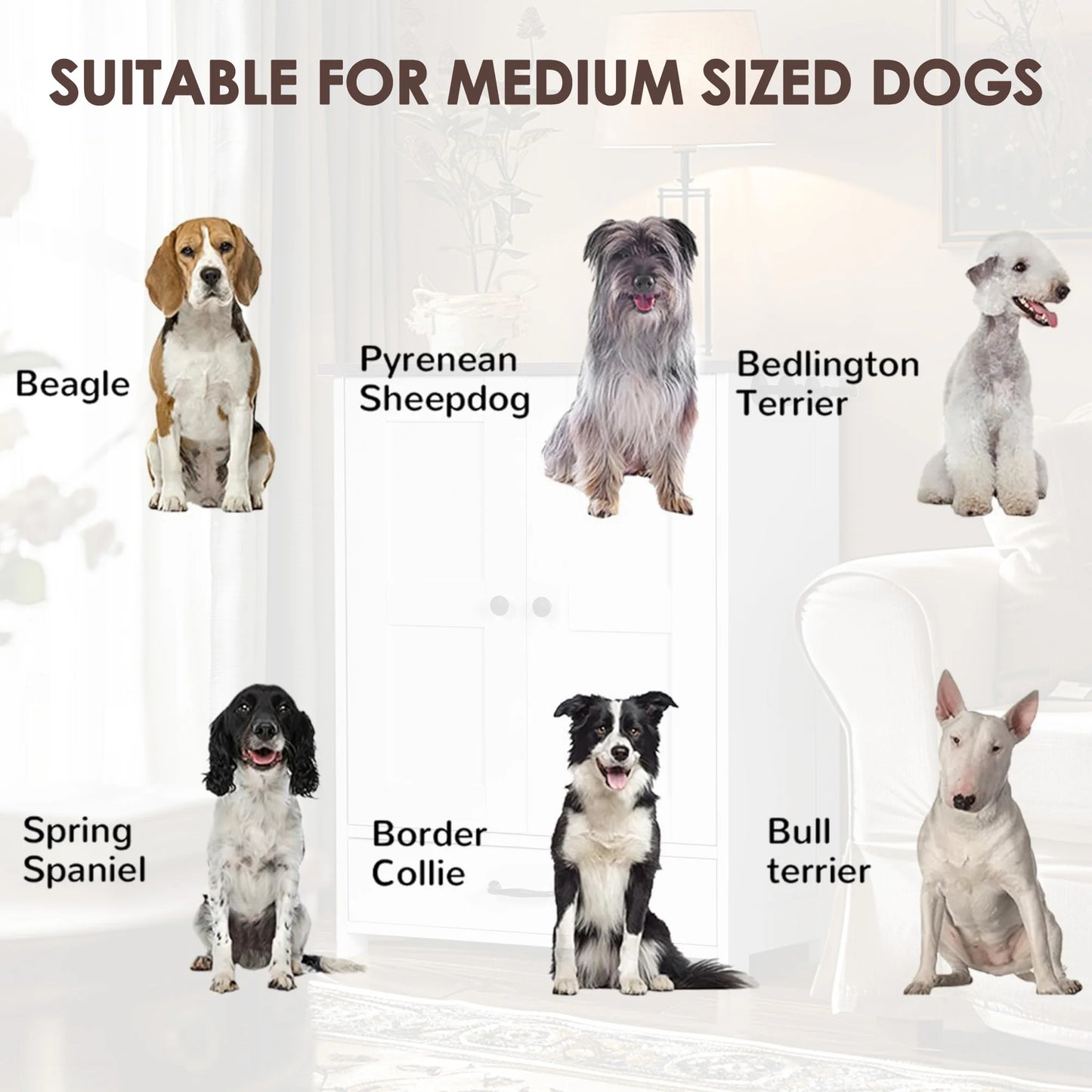 Pet Feeding and Storage Cabinet, Stainless Steel Dog Bowls for Medium Sized Dogs