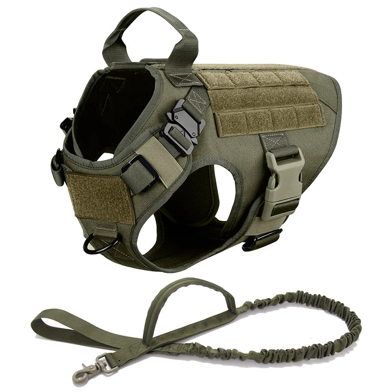 Medium To Large Dog Harness And Leash Set