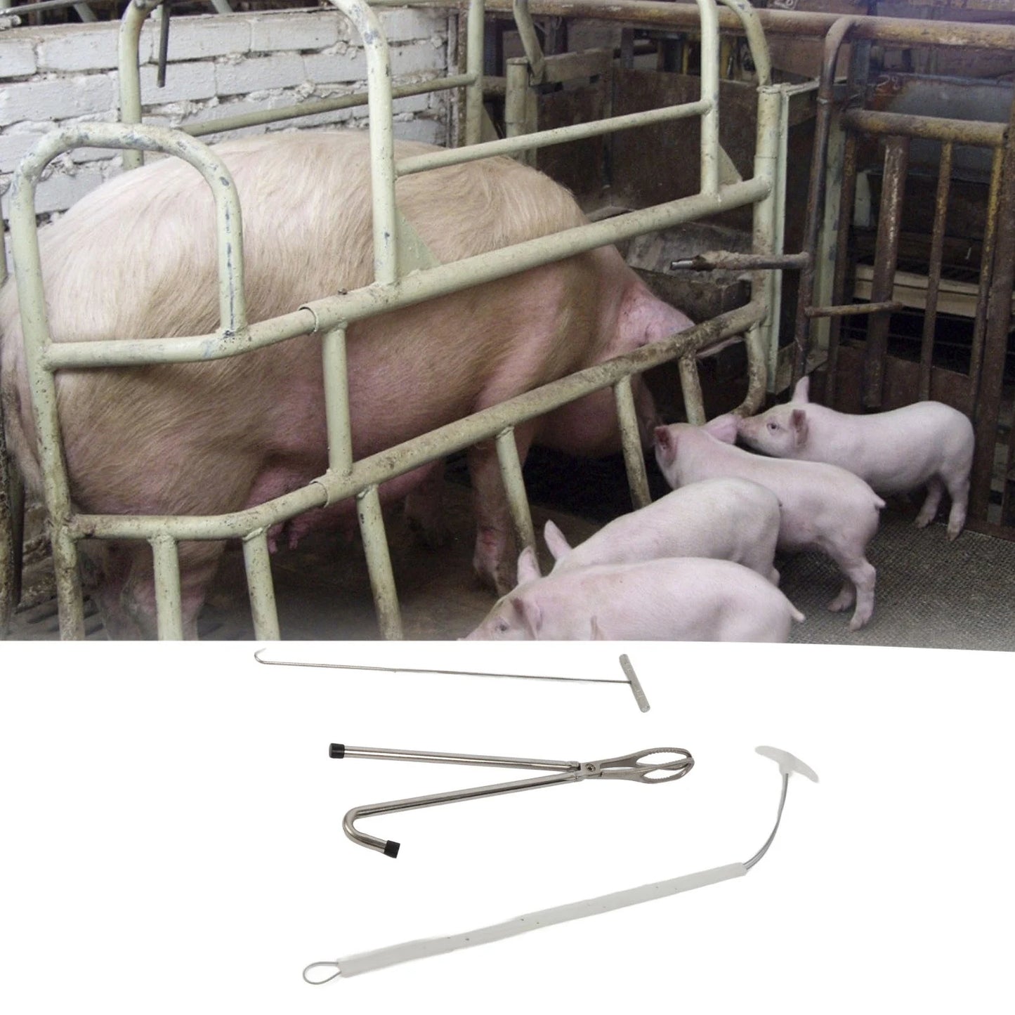 Pig Midwifery Tool Set, Stainless Steel, Livestock Midwifery Rope Pliers Hook