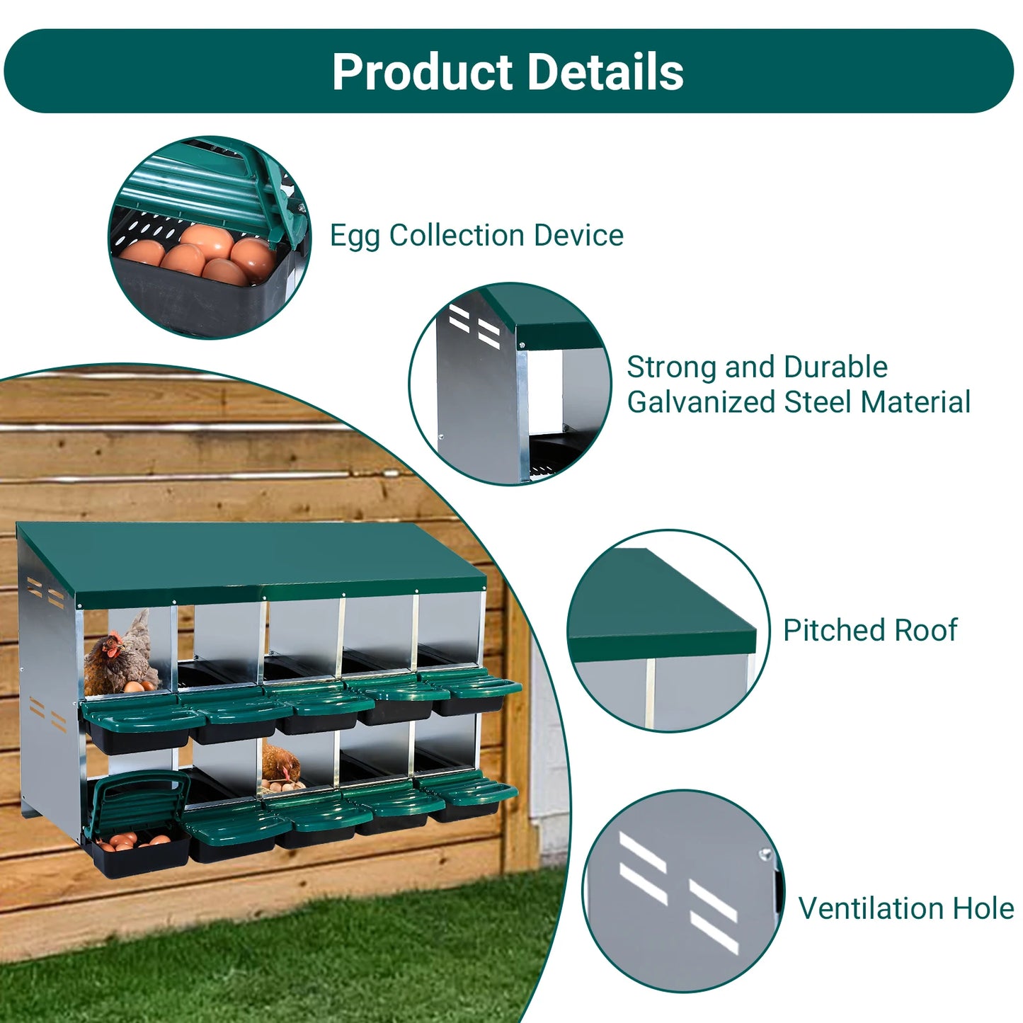 Layer Hen Nesting Boxes, 6  Boxes, 2 Story With Roll Away Eggs